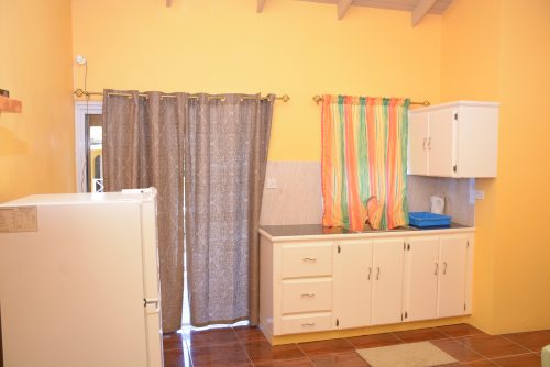 Silver Linning 1 - Image 9